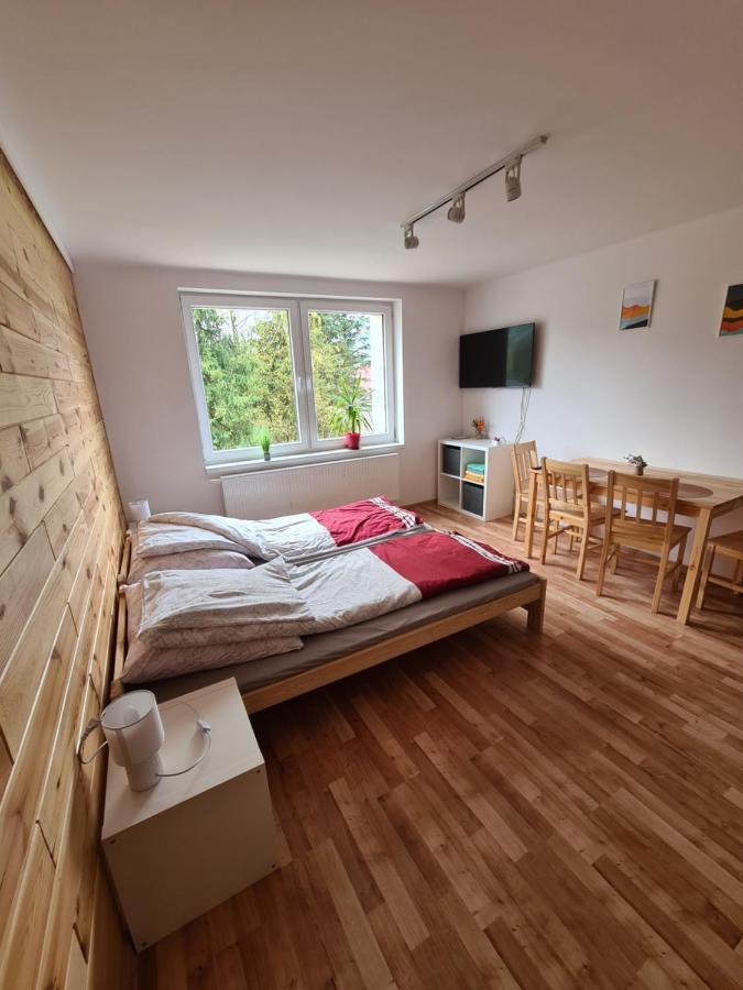Apartamenty Willa Naskarpie Jacuzzi Sauna Basen Wisla Ngoại thất bức ảnh